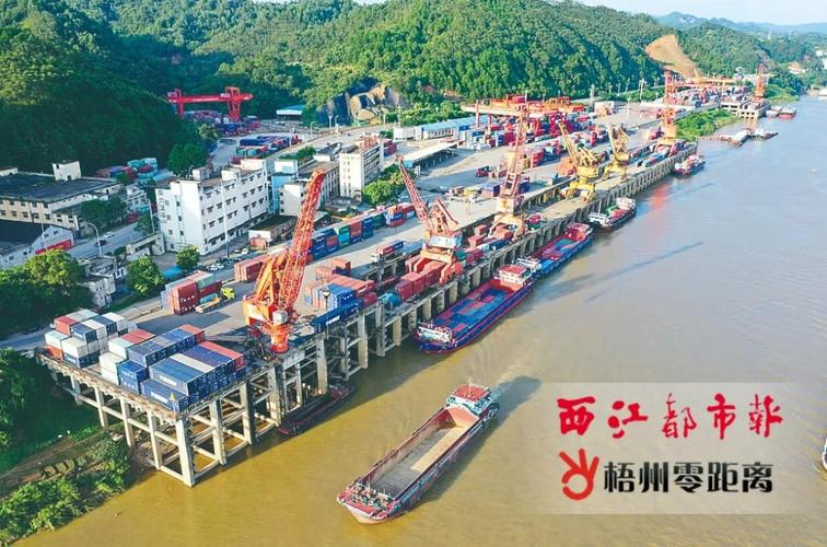 蛇口港航线顺利开通,标志着大湾区内外贸集装箱同船运输业务试点成功